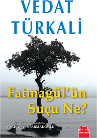 Fatma Gül'ün Suçu Ne